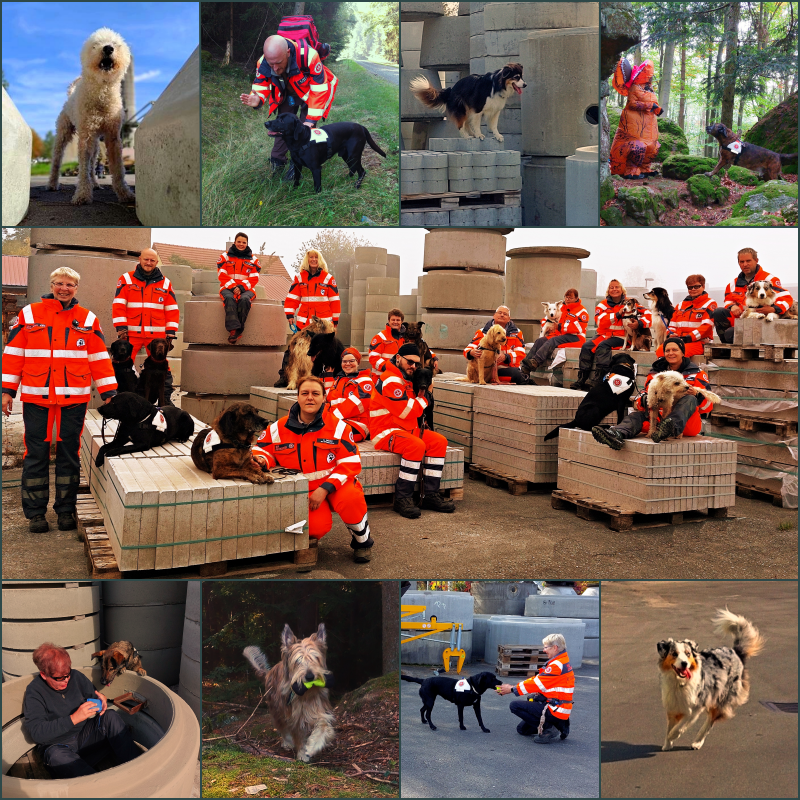 Die Collage zeigt verschieden Bilder von der Übung der Rettungshundestaffel mit Menschen in Einsatzkleidung zusammen mir ihren Hunden.