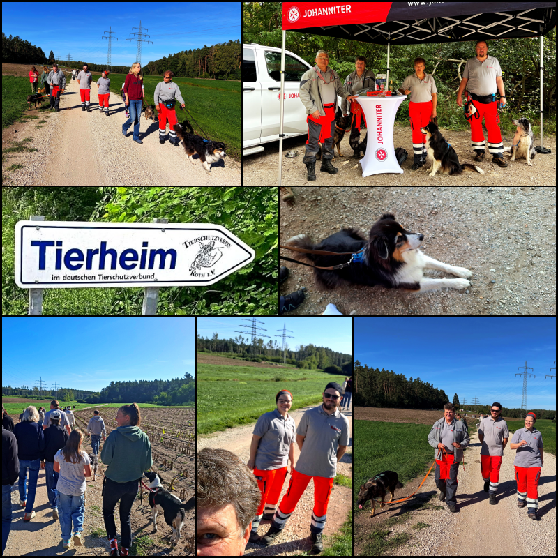 Die Bildcollage zeigt verschiedene Situationen beim Spaziergang mit Hunden und Mitgliedern der Rettungshundestaffel sowie einen Infostand der Johanniter beim Tag der offenen Tür im Tierheim Roth.