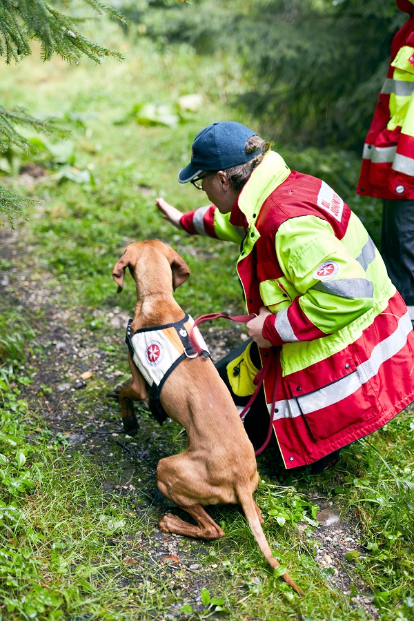 Der Hundeführer stellt eine Aufgabe.