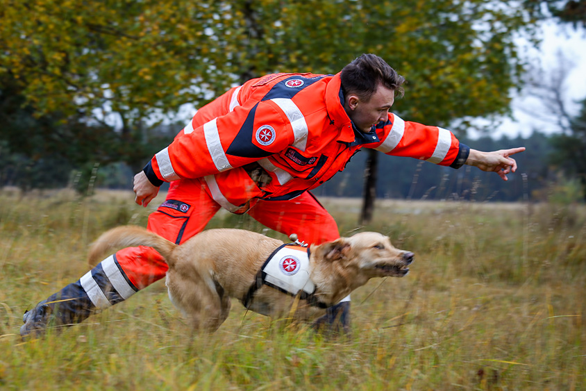 Ein Rettungshundeführer zeigt nach vorne, um seinem Hund den Suchbefehl zu geben. Der Hund, ausgestattet mit einem Johanniter-Geschirr, sprintet entschlossen über eine grasbewachsene Fläche.