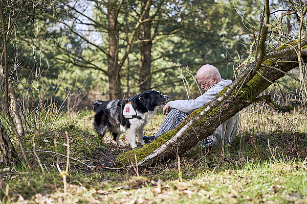 Ein Rettungshund findet eine im Wald verirrte Person und macht auf sich aufmerksam.