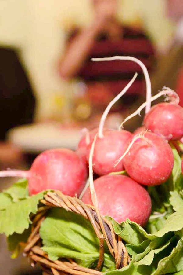 Radieschen sind das Wahrzeichen der Lebensmittelausgabe der Johanniter in Berne.