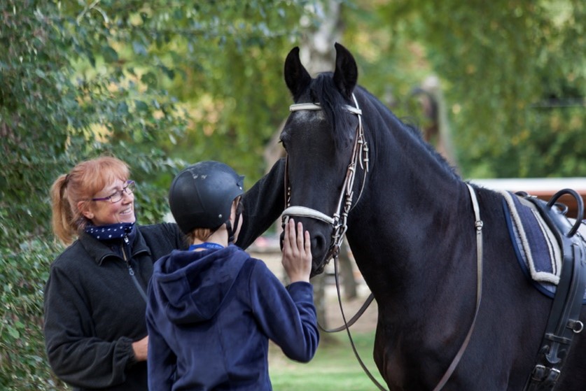 Berührung von Pferden als Therapie