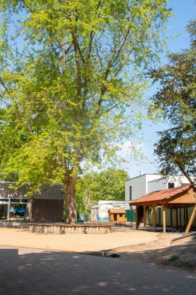 Außengelände der Kita Rheinaupänz 