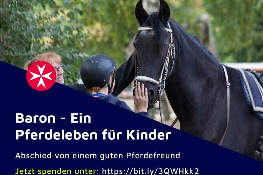 Schwarzes Pferd bei der Therapie 