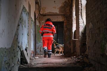 Ein Rettungshundeteam aus Hund und Halter durchsucht ein altes verlassenes Gebäude.