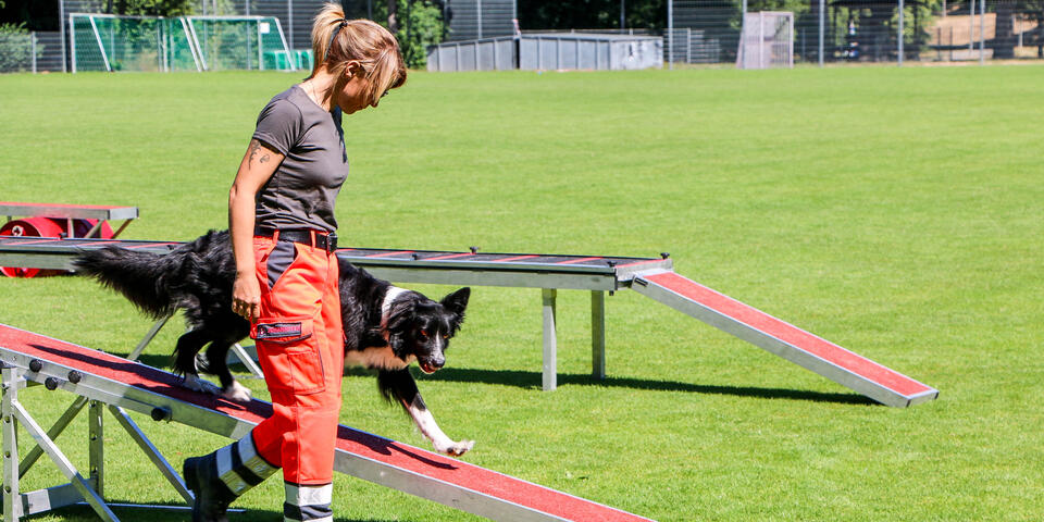 Eine Rettungshundeführerin führt einen Hund über eine Balancier-Plattform bei einer Übung im Freien.