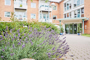 Blick über einen schönen Lavendel zum Eingangsbereich des Johanniter-Stift