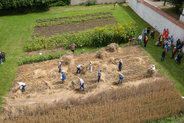 Sanitätsdienst der Donauwörther beim Schnitterfest 2025 in Maihingen 