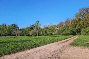 Waldweg Johanniter-Waldkindergarten "Waldeglofsheim"