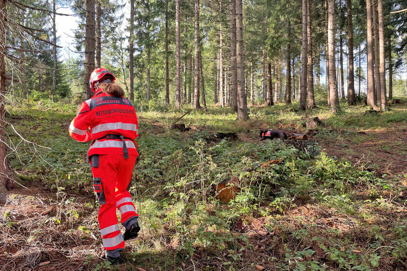 Johanniterin mit Hund im Wald
