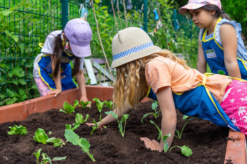 Hatten viel Spaß beim Pflanzen, Säen und Gießen von Kohlrabi, Salat und Karotten: Die Kinder der Johanniter-Kita Nimmerland.