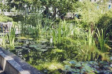 Gartenteich des Johanniter-Pflegewohnhauses Kielwein