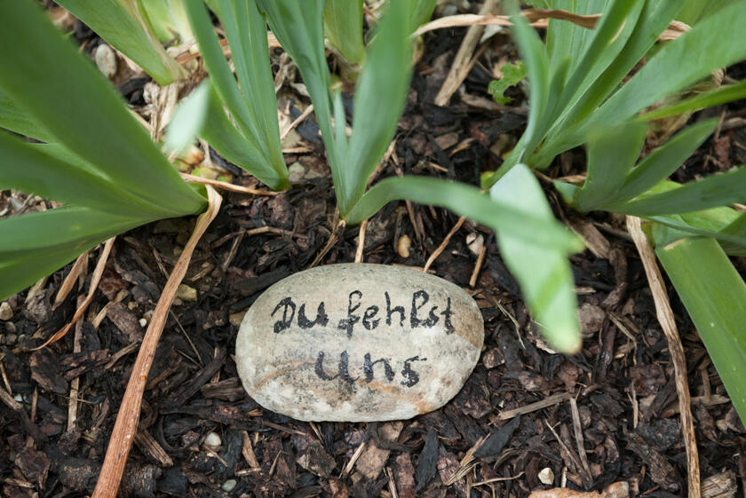 Stein mit Aufschrift "Du fehlst uns" in Blumentopf