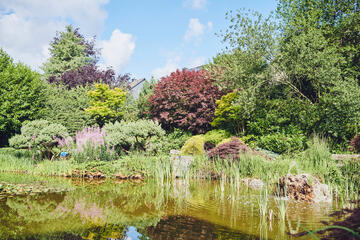Eine Baumgruppe spiegelt sich im Gartenteich mit kleinem Springbrunnen