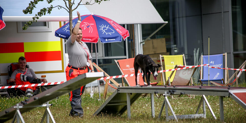 Schwarzer Hund balanciert über Hindernis, Rettungshundeführerin hebt die Hand.