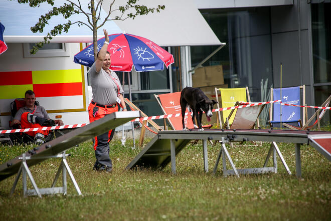 Schwarzer Hund balanciert über Hindernis, Rettungshundeführerin hebt die Hand.