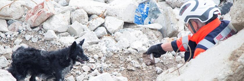 Unsere Rettungshundeteams retten Leben, wenn sie vermisste Kinder, verschüttete Menschen, verunglückte Wanderer oder demente Personen aufspüren.