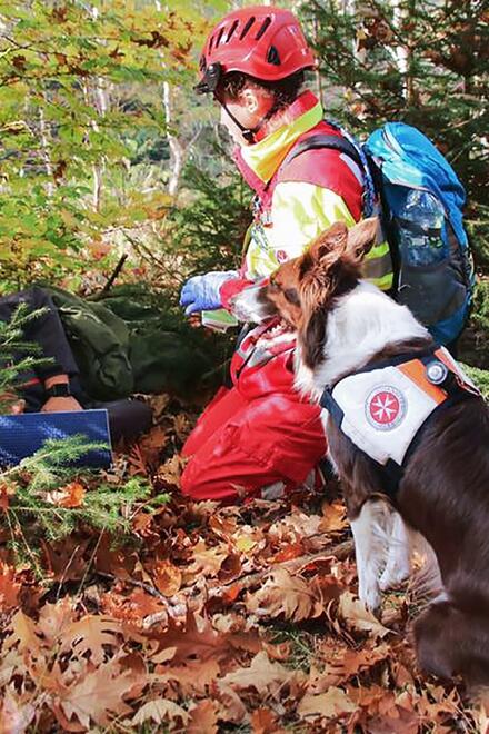 Suche nach Vermissten im Wald