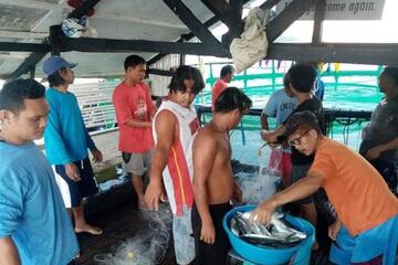 Männer stehen um einen Eimer voller Fische