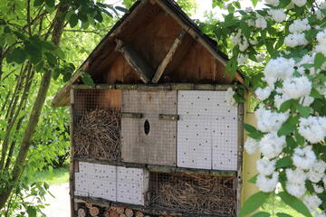 Insektenhotel Johanniter-Kindertagesstätte "Burgspatzen"