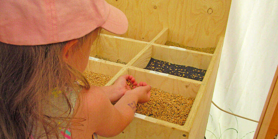Ein Mädchen ertastet verschiedene Körner
