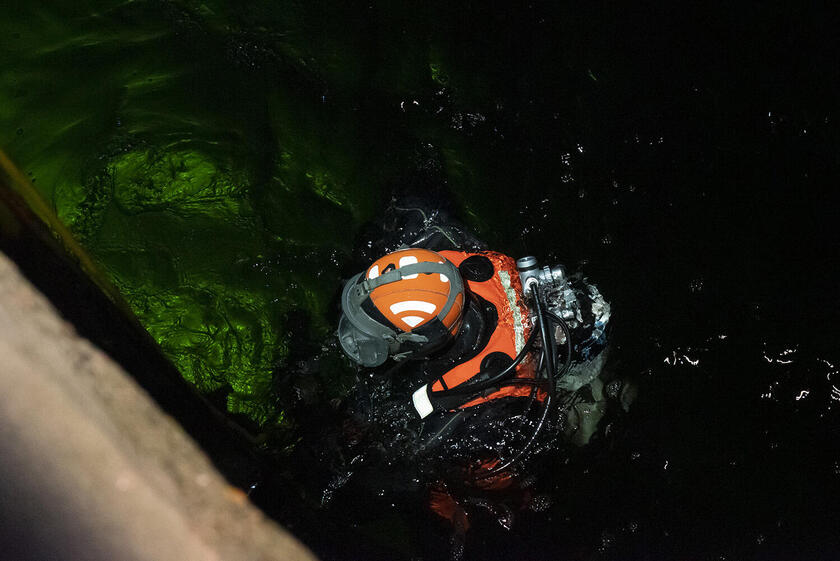 Bei nur 12 Grad Wassertemperatur ist das Tauchen eine ziemlich frische Angelegenheit.