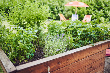 Grünbepflanzung im Holzblumenkasten im Johanniter-Stift Gelsenkirchen