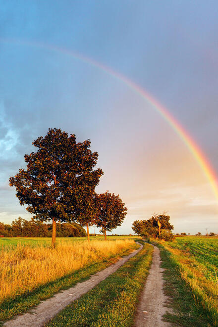 Ambulanter Hospizdienst Quickborn/Elmshorn