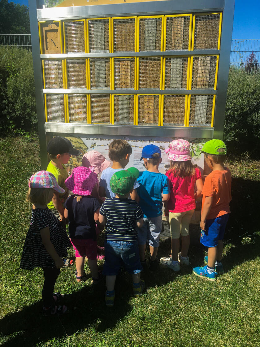 Kinder der Johanniter-Kinderinsel vor der Wildbienenwand im Garten des Kindergartens.