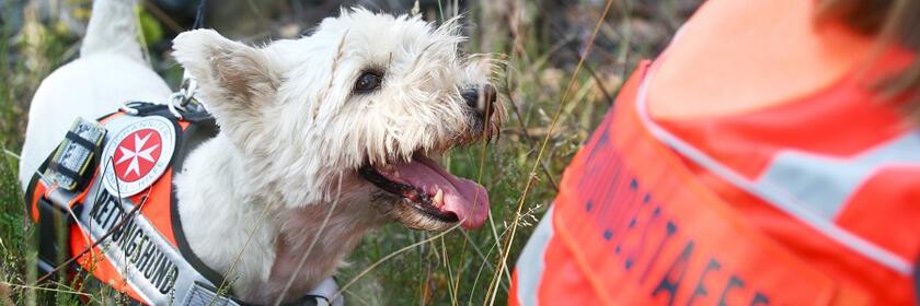 Die Johanniter-Rettungshundestaffel in Südbrandenburg wird rein ehrenamtlich betrieben.