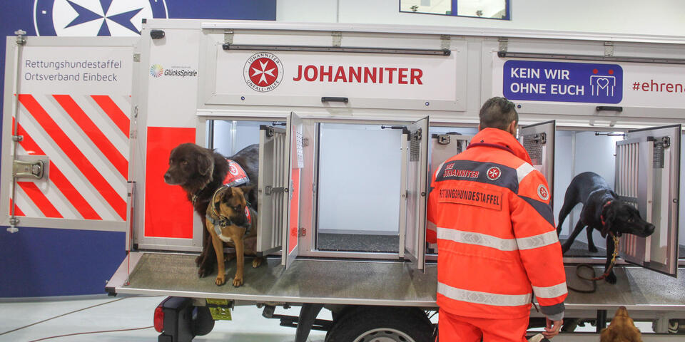 Zwei Hunde sind in einer geöffneten Box in einem Fahrzeug. Ein Johanniter steht vor einer weiteren geöffneten Box, dort schaut ein Hund aus der Box und neben ihm ist ein Hund.