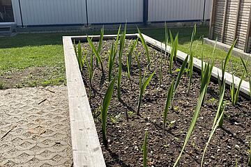 Beet im Garten Johanniter-Kinderhort "Juwelenschmiede"