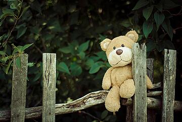 Teddybär sitzt auf altem Holzzaun vor grünen Blättern.