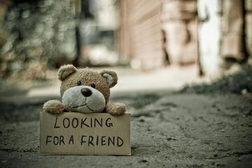 Ein kleiner Teddybär sitzt auf dem Boden und hält ein Schild mit der Aufschrift „Looking for a friend“.