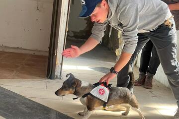 Rettungshund erhält Befehl zur Suche