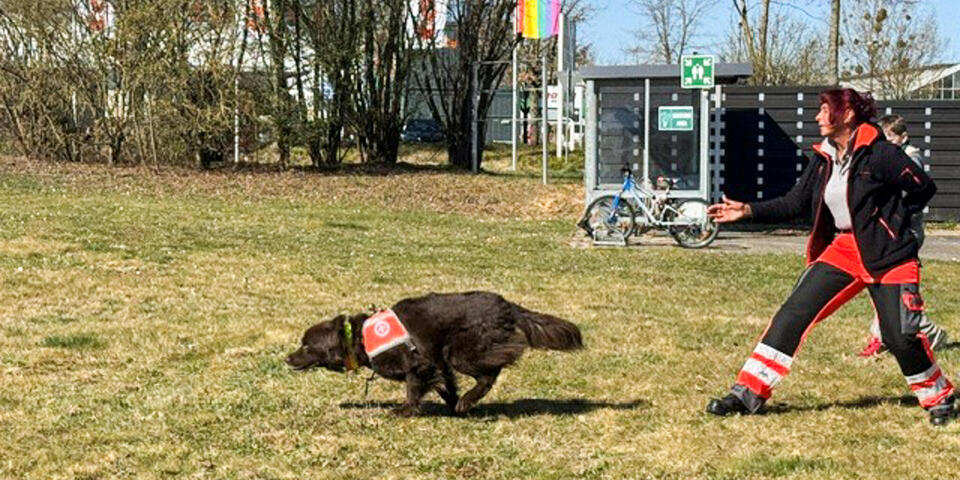 Eine Hundeführerin und ein Hund auf einer Wiese