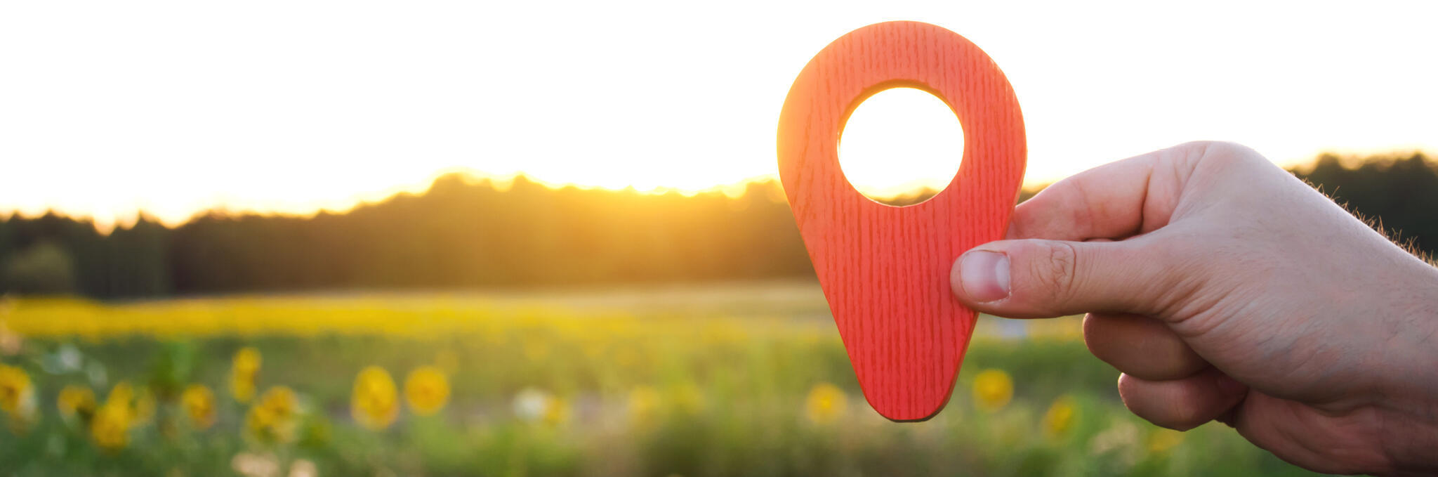 Eine Hand hält eine Standortmarkierung hoch, im Hintzergrund ist eine Blumenwiese zu sehen