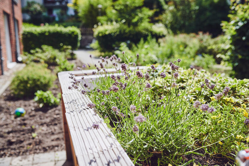 Anpflanzung im Garten des Johanniter-Stiftes Wuppertal