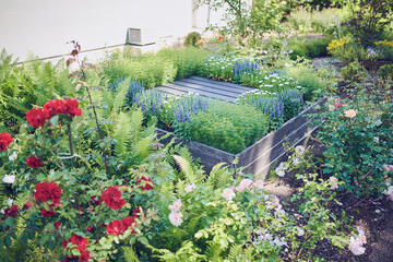 Bunte Blumen wachsen in Beeten und Hochbeeten am Johanniterhaus