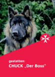 Hund vor grünen Blättern, Text: „Chuck – Der Boss“.