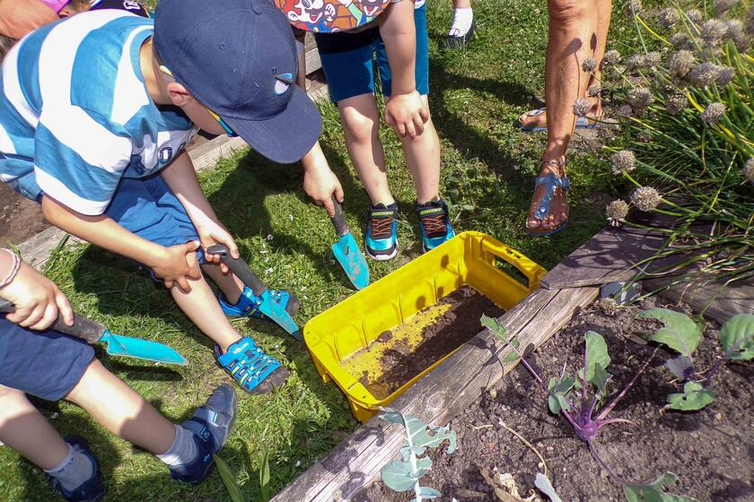 Die Vorschulkinder der Johanniter-Kita Seehüpfer aus Malente besuchten den Eutiner Küchengarten.