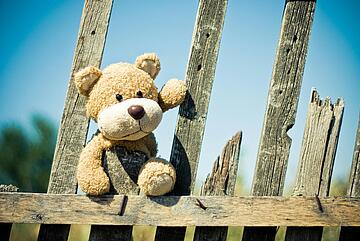Teddybär sitzt auf verwittertem Holzzaun vor blauem Himmel.