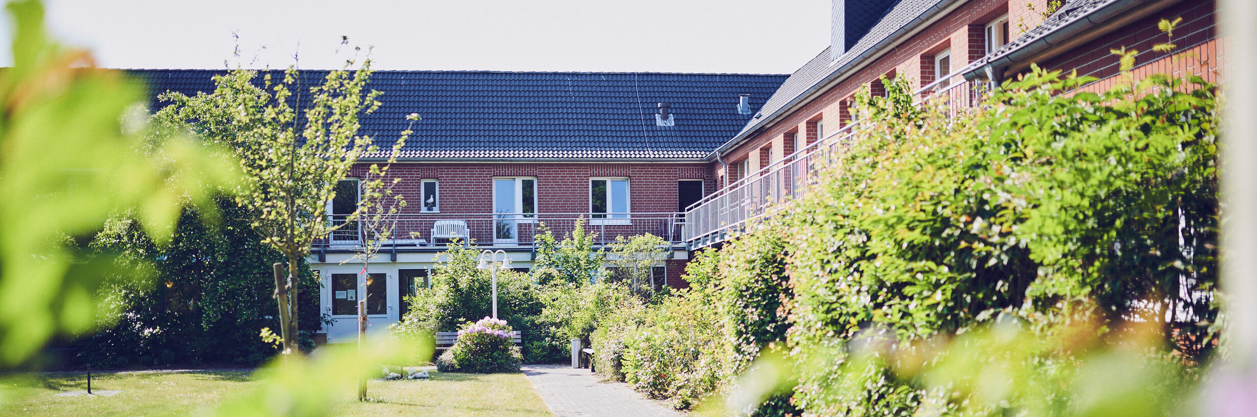 Sonniger Weg umgeben von Grünpflanzen und Rasen führen zum Senioren- und Pflegeheim