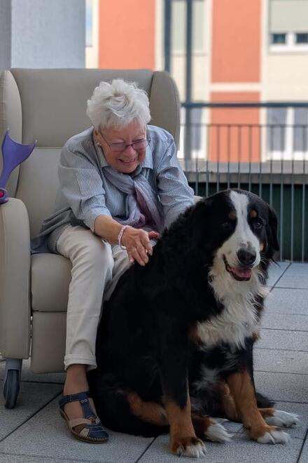 Tagespflege Johannisthal - Unser Berner Sennenhund Amy sorgt für Entspannung und Freude