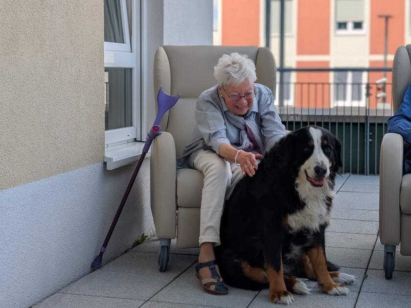 Berner Sennenhund Amy schafft Entspannung und Freude