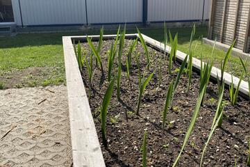 Beet im Garten Johanniter-Kinderhort "Juwelenschmiede"