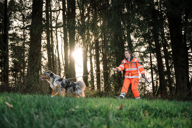 Rettungshundeführerin sucht mit Hund im Wald nach vermisster Person bei Sonnenuntergang