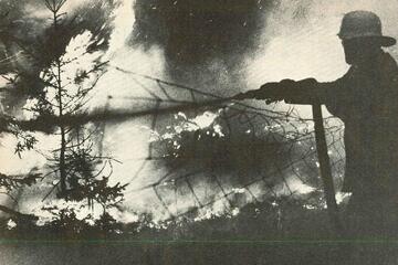 1976 brennt in Niedersachsen die Heide.