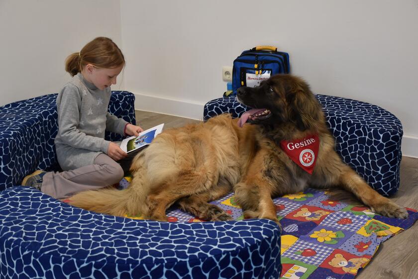 ein Mädchen liest einem Hund vor